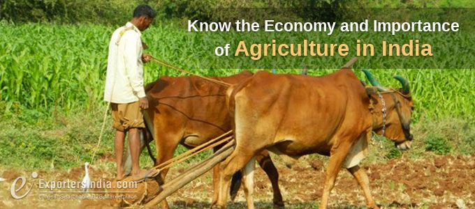 Know the Economy and Importance of Agriculture in India