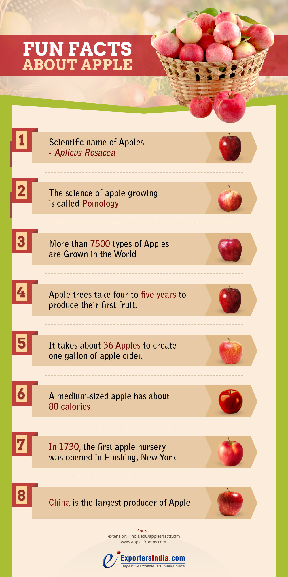 Amazing Facts About Apple Fruit You Should Know