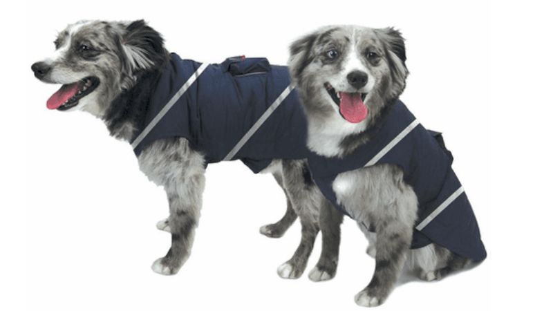 Pet Jacket