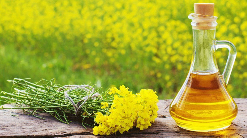 What Are Aromatic and Essential Oils and Their Benefits?