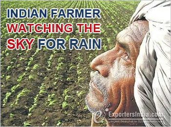 Indian former watch the sky for rain