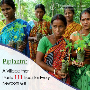 Piplantri A Village Womens Planting Trees