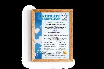 GMP Certificiate