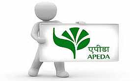 APEDA Certificiate