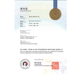 Certificate of Patent_Full Body Massage Type