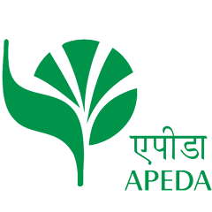 AEPEDA