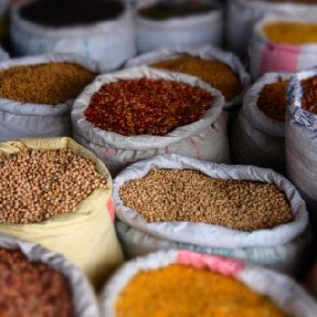 Food Grains ( Rice, Wheat, Pulses, Sugar, Salt)