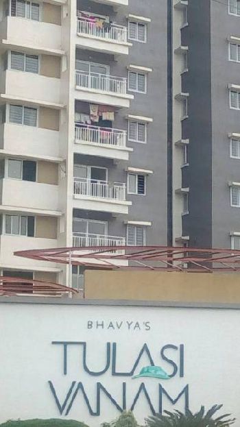 Bhavyas