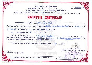 Safety Auditor DGFASALI Certificate