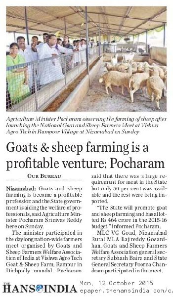 Goats & Sheep farming is a Profitable Venture  Pocharam