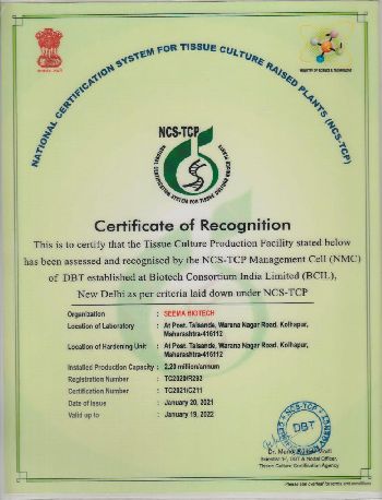 NCS-TCP Certificate