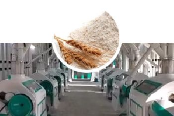 Roller Flour Milling Industry