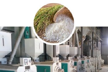 Rice Milling Industry