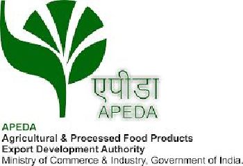 APEDA Certificate