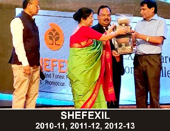 Export Award, 2010-11-12-13 Shefexil, Govt. Of India