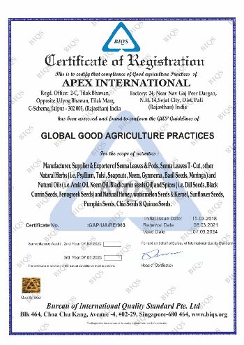 Apex International Certificate