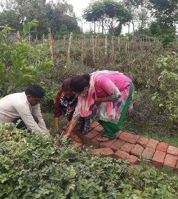 Planting trees with NABARD DDM Mirzapur Smt. Anupriya ji