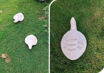 Site : Bhavnaben Doshi, Karnavati Road