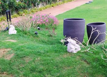 Site : Bhavnaben Doshi, Karnavati Road