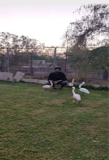 Site : Vikas Sir residence