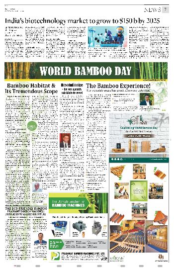 World Bamboo Day story