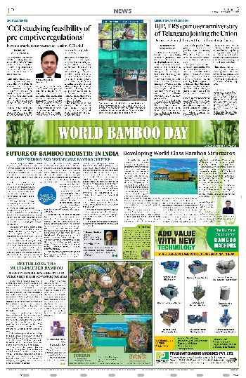World Bamboo Day Story