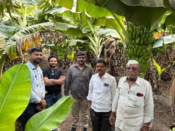 With Farmers and Banana Exporter