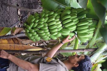 At our farm, we care for the land with the same emotion and dedication