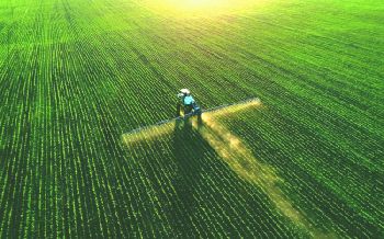 Fertilizers