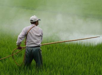 HPEERSBTIICCIIDDEESS