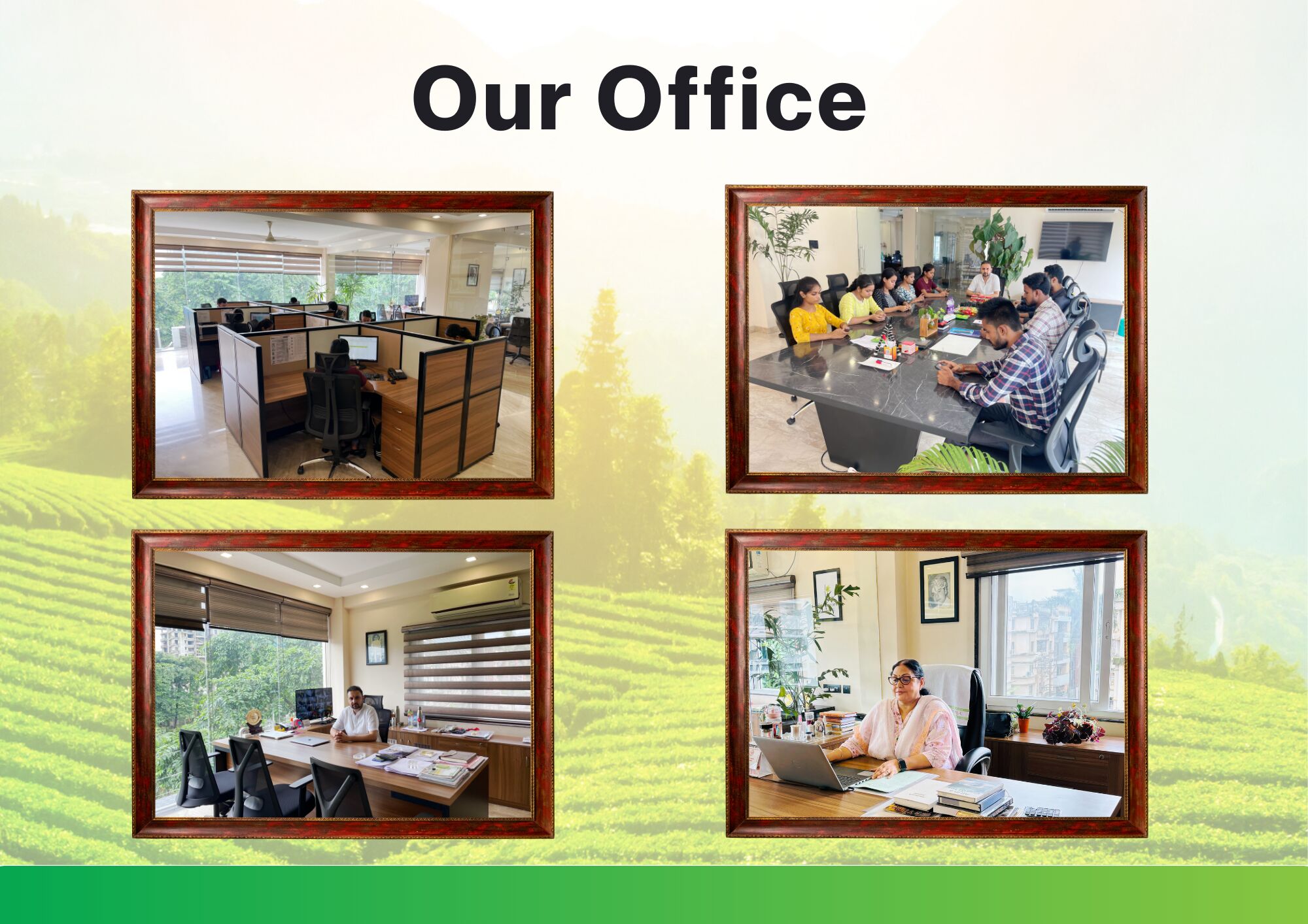 Our Office