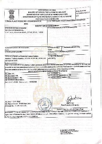 Phytosanitary Certificate