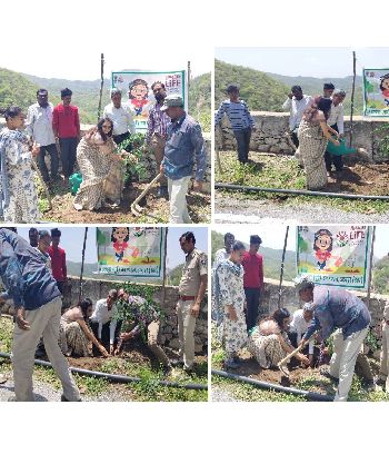 Planting