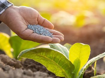 Agriculture & Fertilizers
