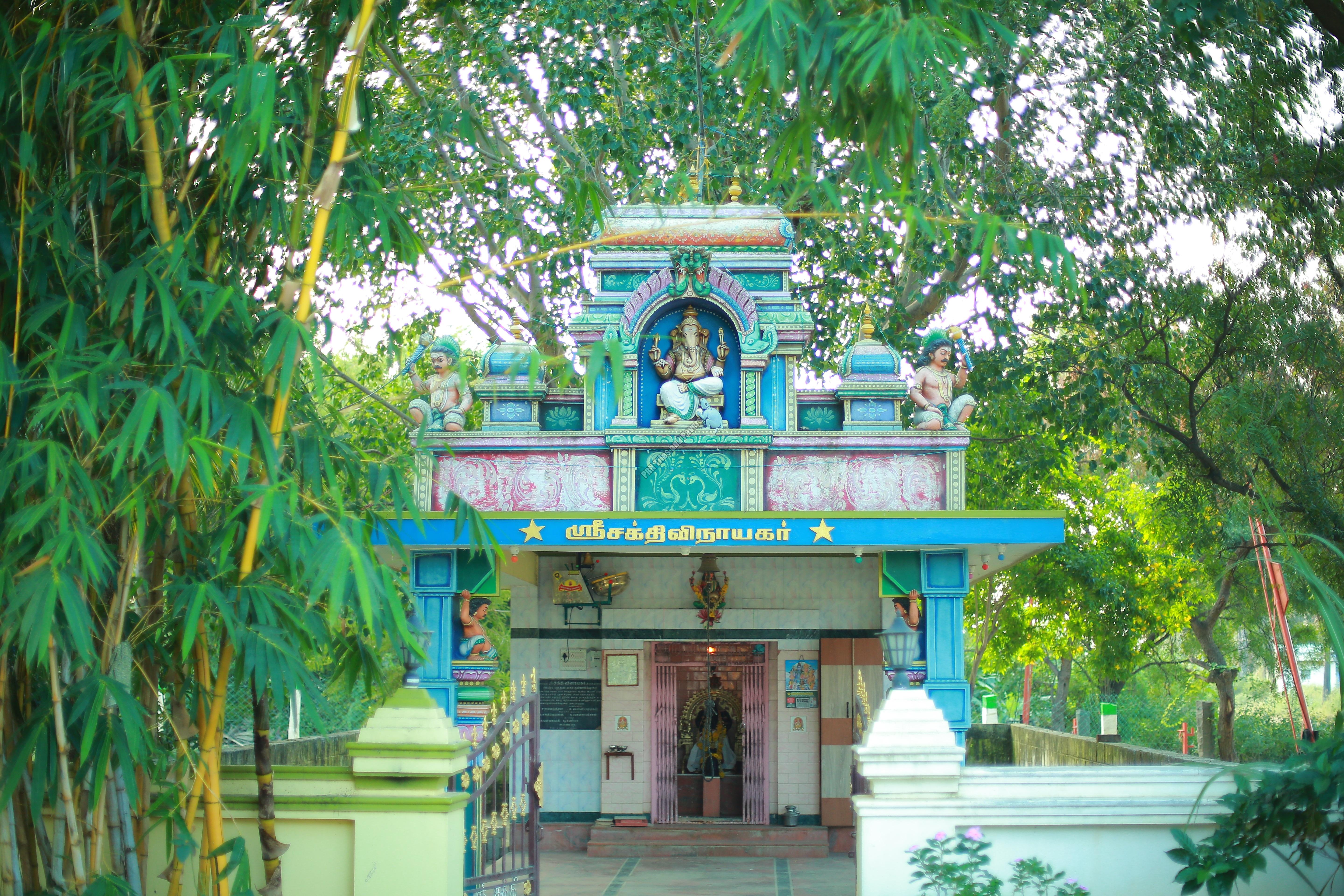 Sri Sakthivinayagar
