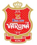 Varun Enterprise Logo