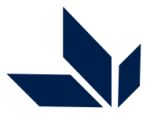 BlinkEx Overseas Logo