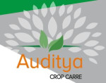 Auditya Crop Carre Logo
