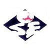 Shivani Enterprises Logo