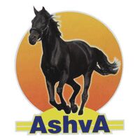 Ashva Elastic & Aarya Ric Rac Logo
