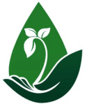 Saanjivanii Taatva Logo
