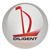 Diligent Exports Logo