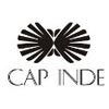 Cap Inde Value Chain Solutions Private L