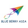 Blue Berry Asia Logo