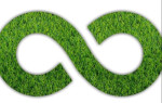 Infinity Green Enterprises Logo