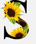 The Sunflower Logo