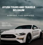 Ayush tours and travels