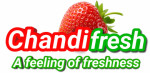Chandifresh Logo