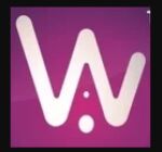 WizAps Projects pvt ltd Logo