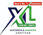 XL Multimedia and Animation Course In Amritsar